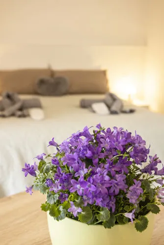 Agriturismo Villa Stella | Appartamento Romeo
